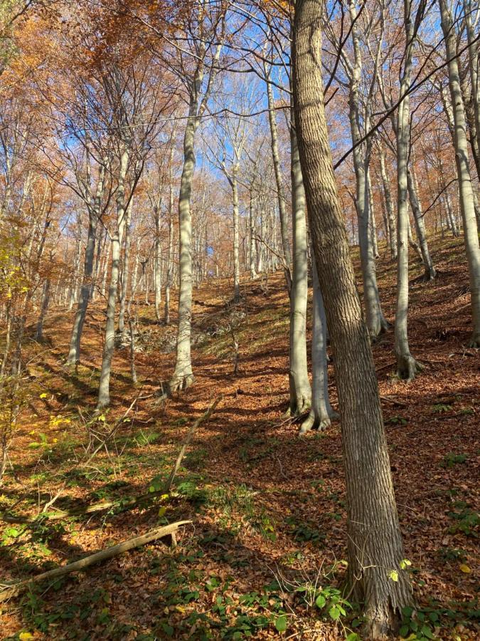 4Trees Holiday House Slunj Esterno foto